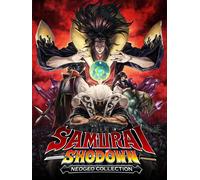 Samurai Shodown NeoGeo Collection (PC) Steam Key GLOBAL