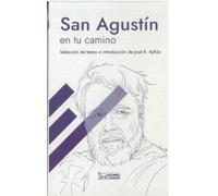 SAN AGUSTÍN EN TU CAMINO: 4