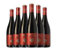 San Alejandro Baltasar Gracián Viñas Viejas El Héroe Garnacha Calatayud Crianza 75 cl Vino tinto (Caja de 6 Botellas de 75 cl)