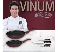 San Ignacio VINUM Set de Sartenes VINUM-Ø20/24 cms, Mango ergonómico Soft Touch Especial Gas y vitro Y Juego 4 Cuchillos de Cocina, Aluminio Forjado, Plateado