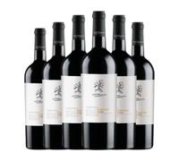 San Marzano I Tratturi Primitivo Puglia 75 cl Vino tinto (Caja de 6 Botellas de 75 cl)