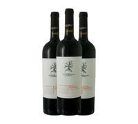 San Marzano Salicentino Puglia 75 cl Vino tinto (Caja de 3 Botellas de 75 cl)