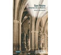 San Pedro: Historias de su Historia: 10 (Ciudad Real Ensayo)