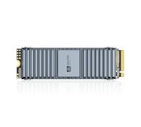SAN ZANG MASTER SSD interno para PS5 con disipador de calor, NVMe SSD M.2 1TB PCIe Gen4x4 2280, lectura de hasta 7450 MB/s, TLC 3D NAND Flash, ampliación de memoria PS5
