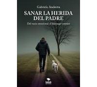 Sanar La Herida Del Padre (ebook)