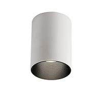 SANBDDLYY Foco de Techo LED, Accesorio montado en Superficie, Luces Imagen galería 10 W y Mini focos Acento, lámparas direccionales for Pasillo salón Dormitorio(Svart+blanc-4000k)