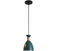 SANBDDLYY Lámparas de araña restaurante nórdico Decoración Simplicidad colgantes, base E27/E26 Lámpara industrial cabeza única minimalista moderna for bar cocina(Green)