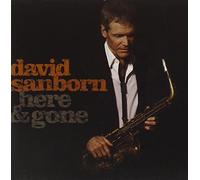 Sanborn, David - Here and Gone