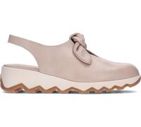 Sandalia puntera cerrada Wonders C-7602 Aixa BEIG 37