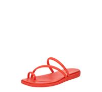 Crocs Miami Toe Loop Sandal, Sandalias Mujer, Diseño de Estrella de Mar Multicolor, 34/35 EU
