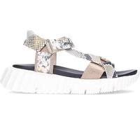 Cetti Sandalia C-1316 de pala cuña piel animal print serpiente cierre adhesivo Champagne 37 Mujer