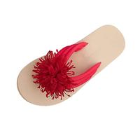 Sandalias Dedo Mujer Chanclas básicas de Uso Diario Cómodas para Caminar Mucho Tacón cuña Suave y Ligero Estampado Discreto Bonito Zapatos Frescos el Calor Yoga Actividades Ligeras