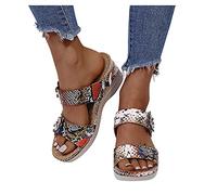 Sandalias Mujer Plataforma Verano Casual Antideslizantes Zapatos Bohemias Elegantes Fondo Grueso Zapatos de Comodas Transpirables Pantuflas Sandalia de Cuña Clásicos Senderismo Calzado Informal