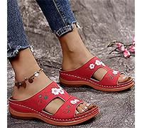Sandalias para Mujer Casual Verano Bordado Cómodas Cuñas Suaves Sandalias Casual Zapatillas Antideslizantes Verano Playa Sandalias Diarias Sandalias de Viaje al Aire Libre para Mujer,Marrón,US10/EU42