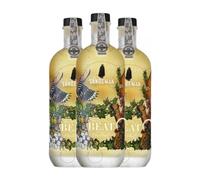 Sandeman Porto White Beat Cocktails Porto 75 cl Vino generoso (Caja de 3 Botellas de 75 cl)