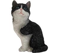 Sandicast SS30402 Escultura de Gato de Pelo Corto Americano de Esmoquin de tamaño pequeño