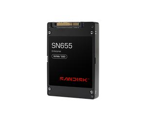 SanDisk 7.68TB SN655 NVMe - 0TS2462