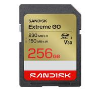 Sandisk extreme go 256 gb sdxc uhs-i