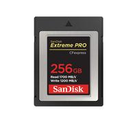 SanDisk SDCFE-256G-GN4NN memoria flash 256 GB CFexpress