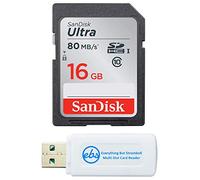 SanDisk SDHC - Tarjeta SDHC Clase 10 Ultra de 16 GB para cámaras Trail | Para fotografía de ráfaga y grabación de video continua, paquete con (1) lector de tarjetas SDHC multiranura Everything But