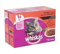 Sandra Van Nieuwland - Sandra Van Nieuwland - Human Alien