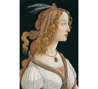 Sandro Botticelli, Idealised Portrait of a Lady: Motivational and inspirational notebook with positive affirmations; funny joke gift for the friends, coworkers, bosses and employees