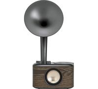 Sangean WR-45 Black (Euphonic 450) Chopin Silver (BT/FM/Bateria)