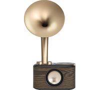 Sangean WR-45X Gold (Euphonic 45X) Chopin Gold (BT/FM/Bateria)