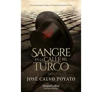 Sangre en la calle del Turco | José Calvo Poyato