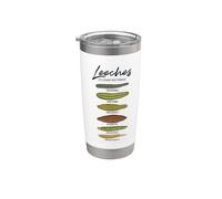Sanguijuelas medicinales Vaso térmico de acero inoxidable de doble pared