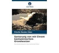 Sanierung von mit Chrom kontaminiertem Grundwasser: Die Verwendung von nanometrischem Eisen