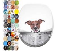 Sanilo Tapa de inodoro con cierre suave y liberación rápida, el asiento para WC se desmonta pulsando un botón, sencillo montaje desde arriba (Periódico)