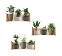SanKristo 3D Maceta Plantas Gabinete Pegatinas 3PCS, Autoadhesivo Arte Pared Pegatinas Decoración Pared de la Habitación Murales Jarrón Vinilo Pared, Decoración Cuarto Baño Cocina Dormitorio Vivo