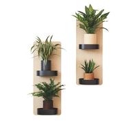SanKristo 3D Planta Maceta Falso Colgante Pegatinas Pared 2PCS, Autoadhesivo Arte Pared Pegatinas Decoración Habitación Murales Jarrón Vinilo Pared, Decoración Cuarto Baño Cocina Dormitorio Vivo