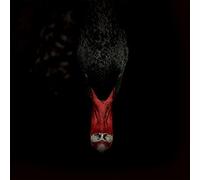 Sankt Otten + N - Männerfreundschaften und Metaphysik