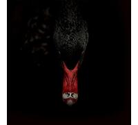 Sankt Otten + N - Männerfreundschaften und Metaphysik [VINYL] [Vinilo]