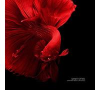 Sankt otten - Zwischen demut und disco