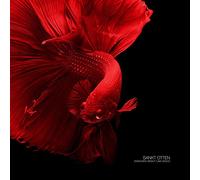 Sankt Otten - Zwischen Demut und Disco [Vinilo]