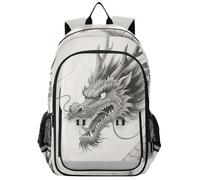 sanluoli Mochilas para niños de 8 a 12 años: bolsa de libros casual para niños y niñas de sexto grado en varios colores, dragón gris