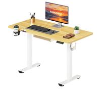 SANODESK Escritorio Elevable Eléctrico 110x54cm con Tablero Completo, Mesa Ajustable en Altura con Sistema Anticolisión, Función de Memoria de 4 Alturas con Gancho y Caja de Almacenamiento, Arce