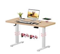 SANODESK Q1 Pro Escritorio Elevable Eléctrico con Cargador Inalámbrico 110 x 54 cm con Doble Motor, Ideal para Oficina en Casa y Gaming (Arce)