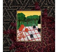 Sans Souffrance (R)ajoutee [Vinilo]