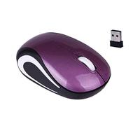 SanSixi Mini Ratón Inalámbrico Ordenador Gaming Pequeño Portátil Mause 1600DPI Óptico USB Ergonómico Ratón USB para PC Portátil Regalo (Purple)