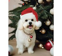 Santa Bichon Frise Merry Christmas notebook | 110 page, rules, 9,25"x7.5": Happy Xmas Gift Notepad Dog Lover