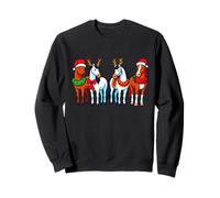 Santa Caballos Año del Caballo Año Nuevo Chino NYE Sudadera