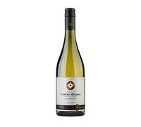 Miguel Torres Chile Santa Digna Chardonnay 2023 1 x 750 ml