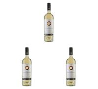Santa Digna Sauvignon Blanc, Vino Blanco - 750 ml (Paquete de 3)