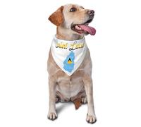 Santa Lucía, Isla De Lucía, Caribe Bufanda Triangular para Mascota Impermeable Triangular para Mascotas Bandana Ligero Pañuelos para Perro para Accesorio Vacaciones Fiesta
