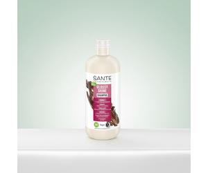 Sante Champú Brillo Radiante Abedul 500ml