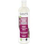 SANTE Naturkosmetik Champú Glossy Shine con extracto de hoja de abedul orgánico + complejo de proteínas triple para el cuidado del cabello vegano e hidratante para un brillo y suavidad, con delicado